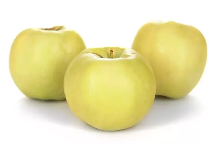 Varis tedavisinde kullanılan elmalar