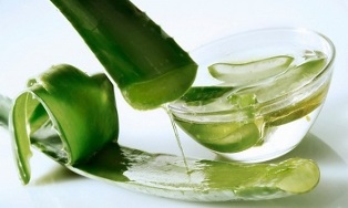 Aloe varis tedavisinde kullanılır